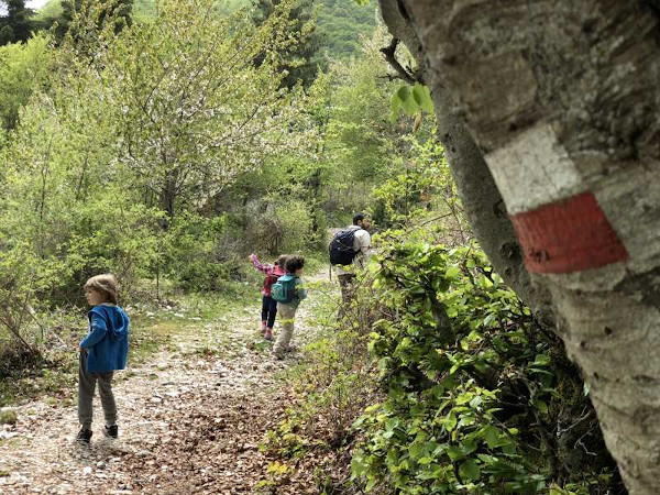 bambini che camminano su un sentiero in montagna
